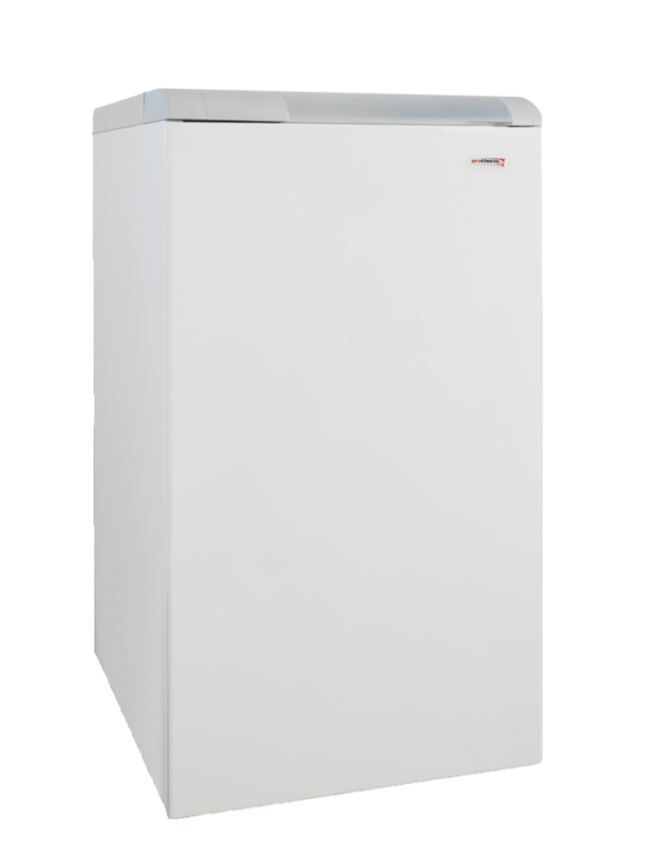 Напольный газовый котел Protherm Волк в Оренбурге за 0 руб.