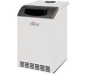 Напольный газовый котел Ferroli Pegasus D